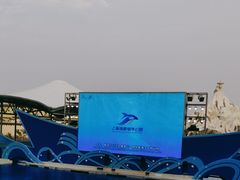 -上海海昌海洋公园