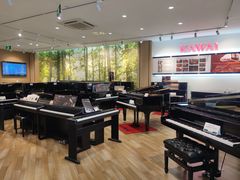 -柏斯琴行(汾阳店)