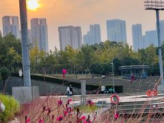 -月湖风景区