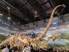 -自贡恐龙博物馆