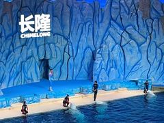 -珠海长隆海洋王国