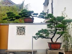 -龙华寺