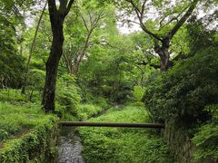 -灵顺寺