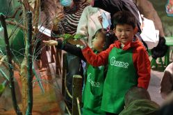 -酷嗒动物文化乐园(cutezoo西溪乐天城店)