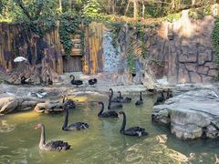 -燕塞湖鸟语林景区