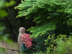 -上海醉白池公园