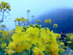 android_upload_pic-广州市石门国家森林公园