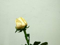 -尊宝比萨(江南豪园店)