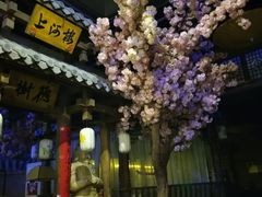 -淀里船宴(裕华东路店)