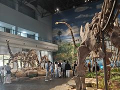-自贡恐龙博物馆