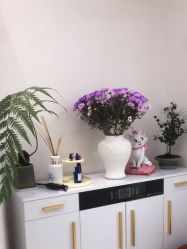 -WENDY·温迪皮肤管理