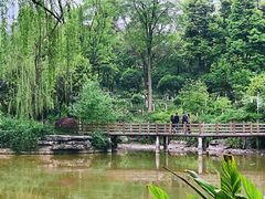 -龙头寺公园