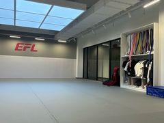 -EFL巴西柔术·综合格斗·泰拳·少儿体能训练(虹桥德必馆)
