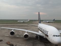 -新加坡航空公司(ION)