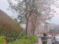 -小南山公园
