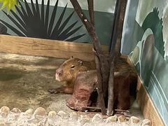 -太阳岛度假酒店