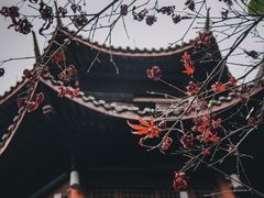 -杭州半山国家森林公园
