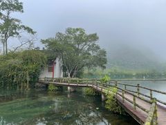 -靖西鹅泉风景区