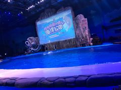 -华夏文旅海洋公园