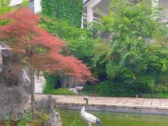 -广富林宰相府酒店·水云间
