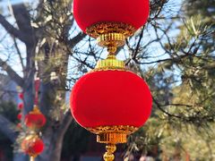 -大钟寺古钟博物馆