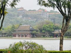 -顺峰山公园