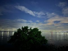 -宝安西湾红树林湿地公园