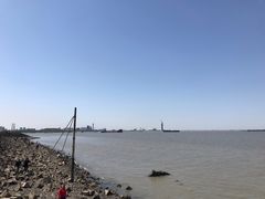 -上海滨江森林公园