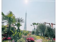 -海心沙亚运公园