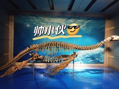 -自贡恐龙博物馆