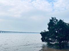 -宝安西湾红树林湿地公园