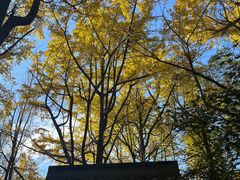 -西湖风景区十里琅珰-五云山