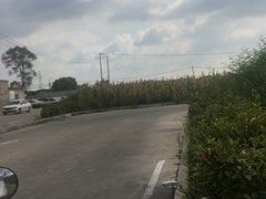 -安飞驰驾校·学车连锁(金高店)