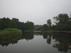 -溱湖国家湿地公园