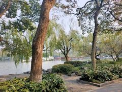 -苏堤停车场