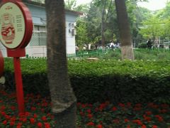 -双榆树公园