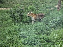 -大连森林动物园