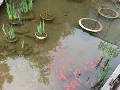 -聚缘堂·海鲜私房菜(松岭路店)