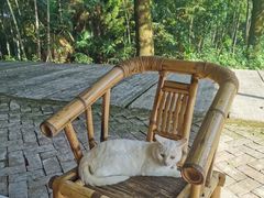 -重庆雨台山风景区
