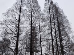 -缙云山景区