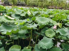 -千龙湖生态旅游度假区