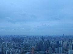 -上海龙之梦万丽酒店