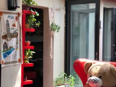 -EATALIA意塔利意式餐厅(鼓楼店)