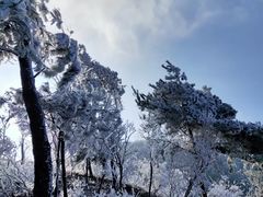 -四明山国家森林公园
