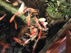 -顺德了能馆(虎门店)