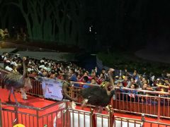 -灵玲国际马戏城
