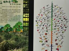 -杭州植物园