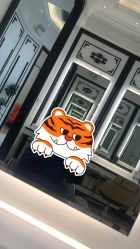 -YESIDO椰岛造型