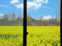 -中国天府农业博览园