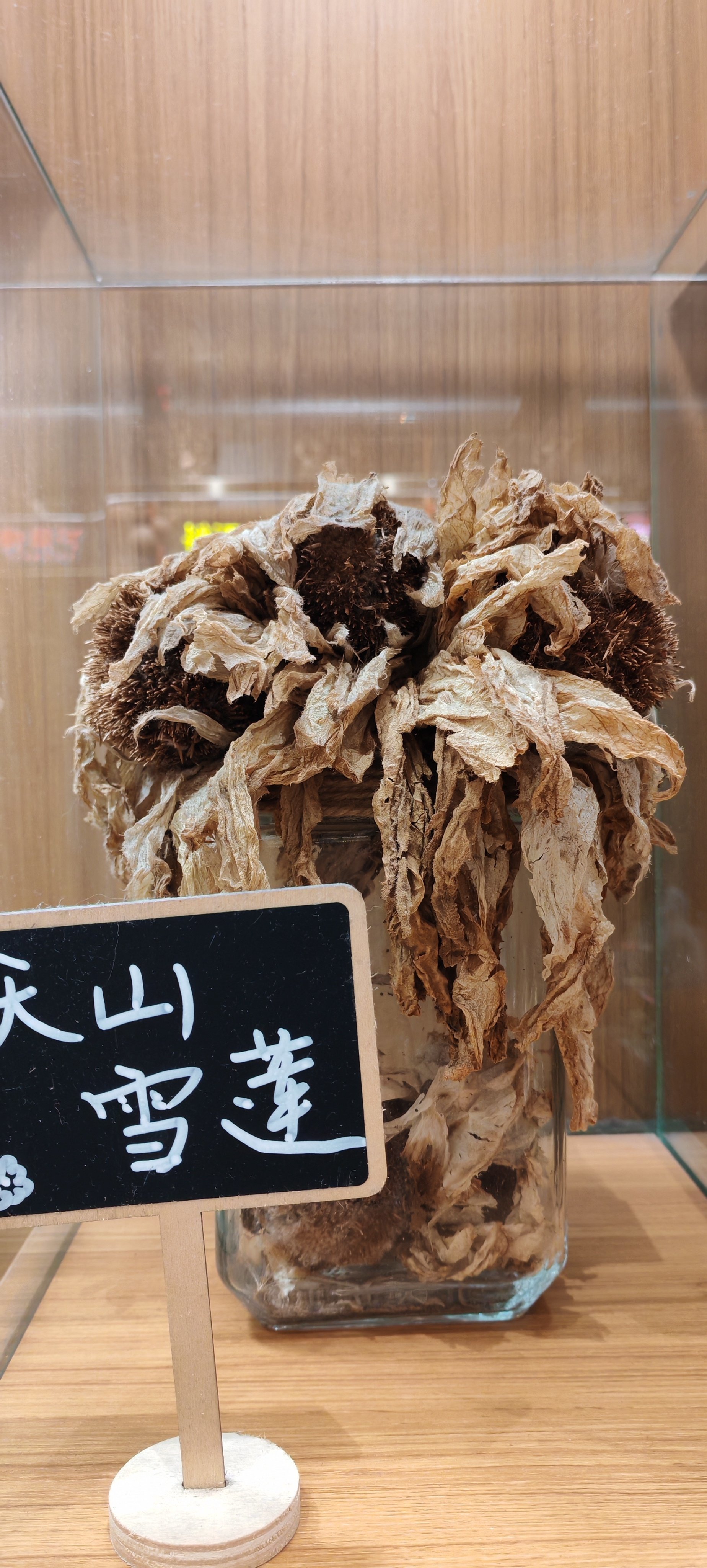 中医药房可以看到很多宝贝